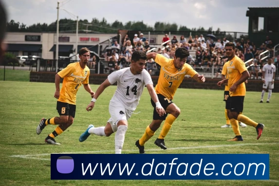 大发官网品牌故事